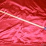 The Dick Stick