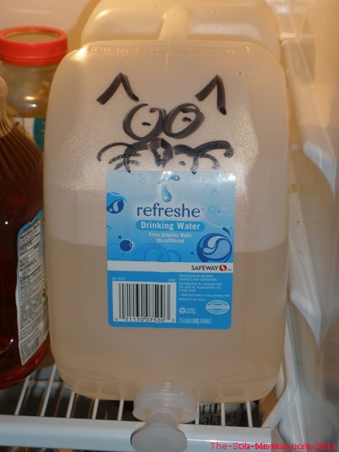 The offending water jug. Master drew a kitty face on it to entice me to drink.  Sad to say, yeah, it worked. ;)