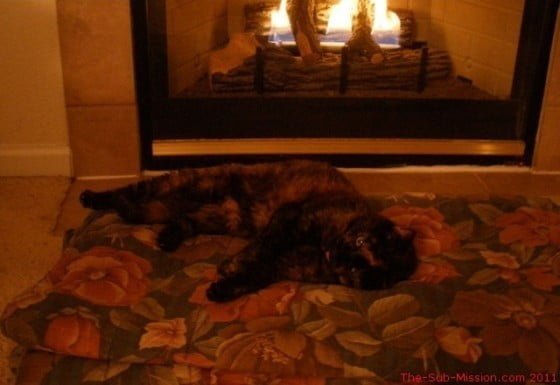 Samantha By The Fire