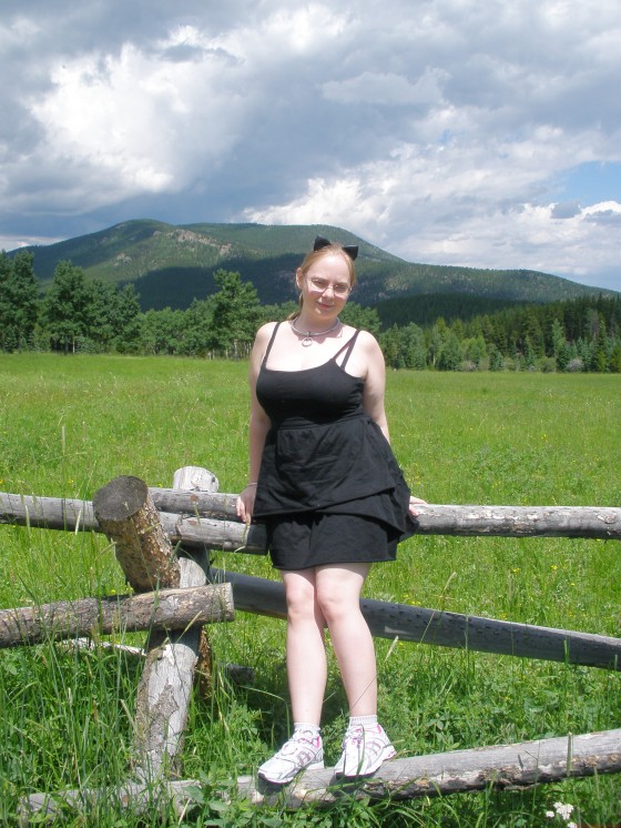 Kitty On The Wooden Fence
