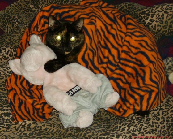 Sammie, and Apple Pig