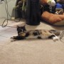Serenade In Repose