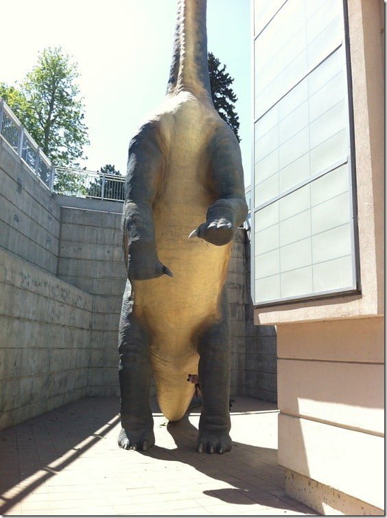 bronto kitty bronto kitty